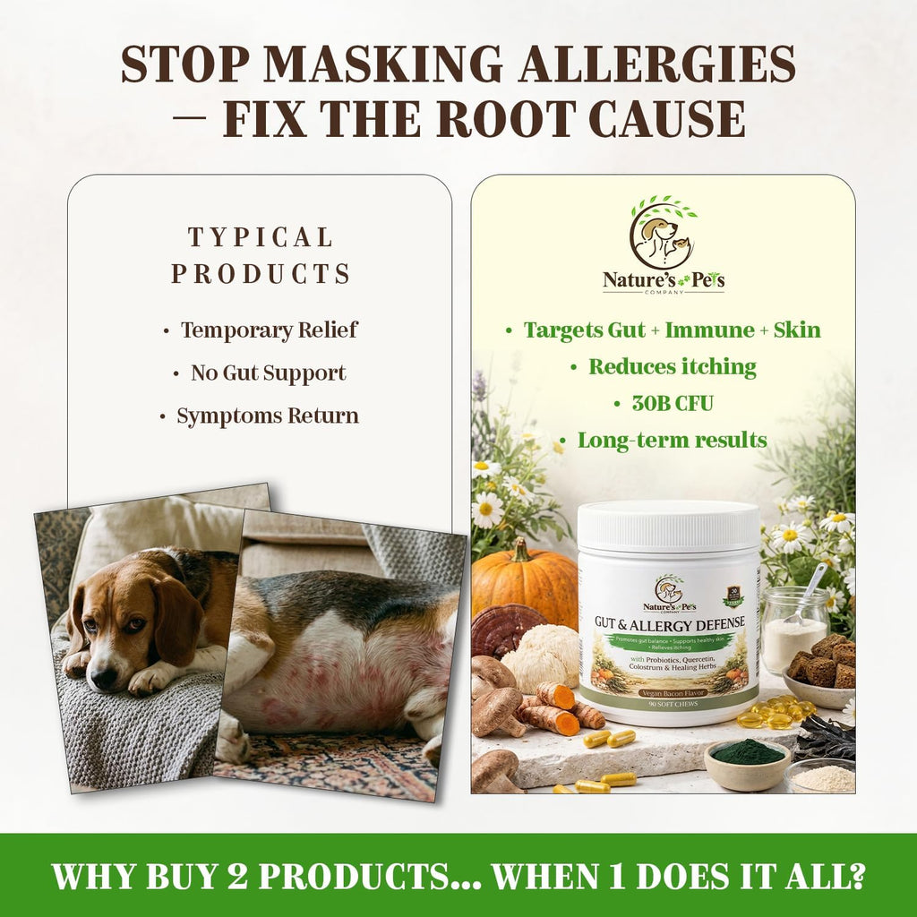 30 Billion CFU PROBIOTICS- One a Day Gut & Allergy Defense for Dogs with PREBIOTICS, QUERCETIN, Colostrum, Turmeric, Mushrooms - Itchy Skin, Allergy & Digestive Support - 90 Chews - Made in USA