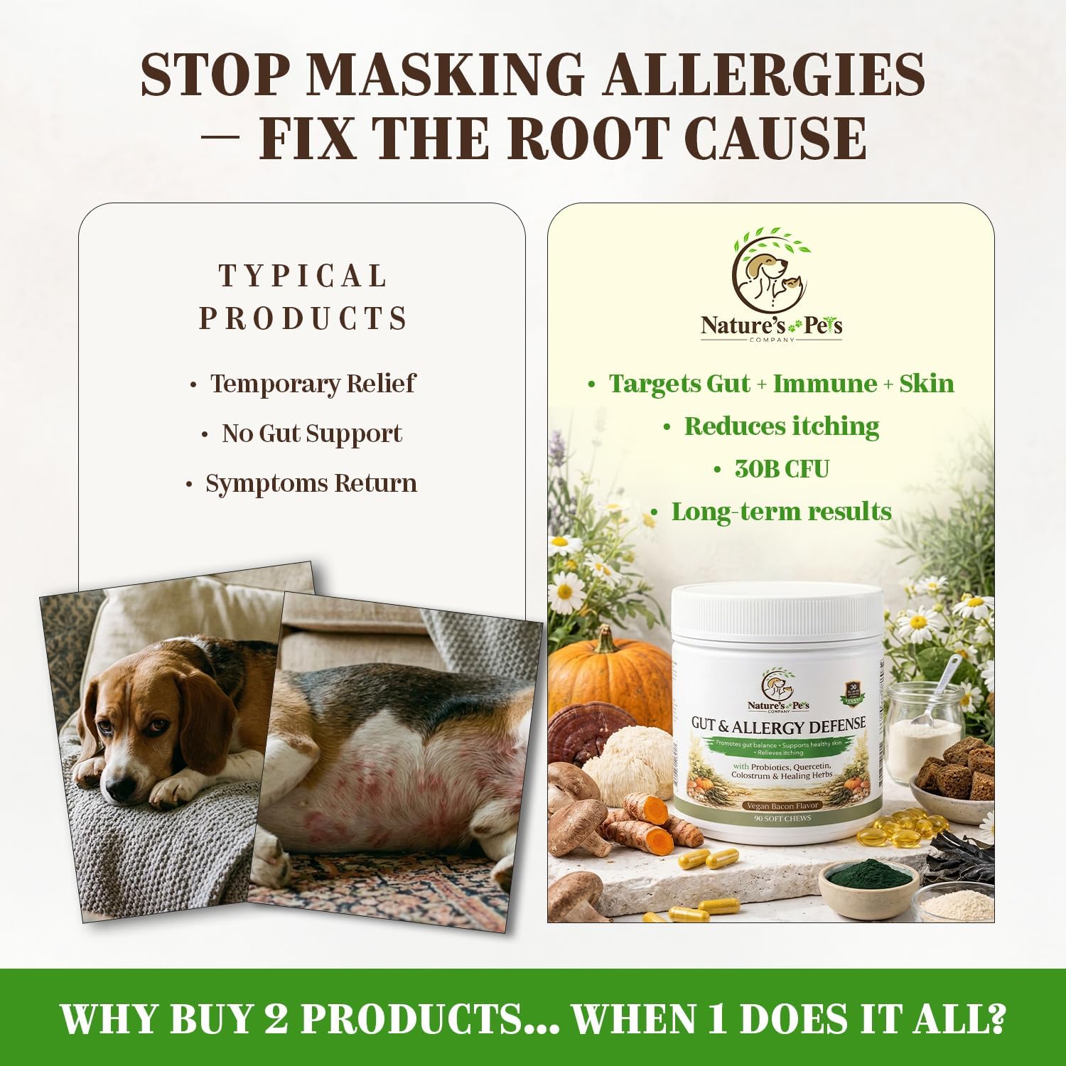 30 Billion CFU PROBIOTICS- One a Day Gut & Allergy Defense for Dogs with PREBIOTICS, QUERCETIN, Colostrum, Turmeric, Mushrooms - Itchy Skin, Allergy & Digestive Support - 90 Chews - Made in USA