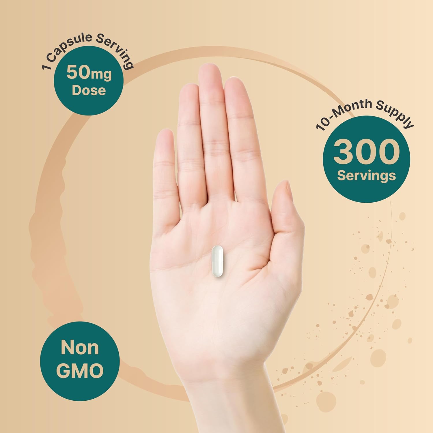NatureBell DHEA 50mg, 300 Cápsulas - Micronizada, Origen Vegetal, Sin OMG