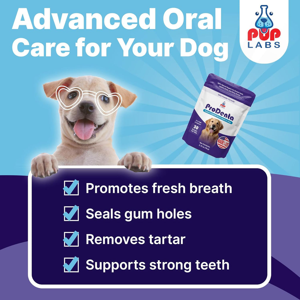 Pup Labs ProDenta - Polvo Natural para Eliminar Sarro y Mal Aliento en Perros, 180 Cucharadas