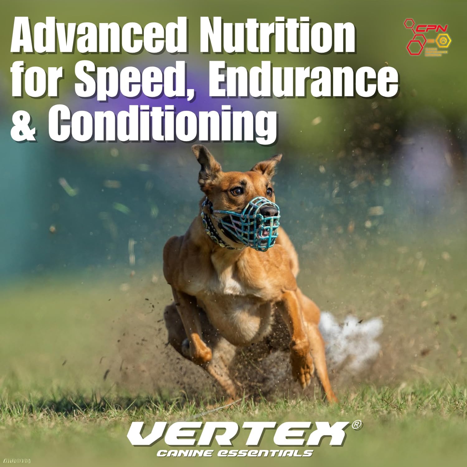 Vertex Canine Essentials - Suplemento de Alto Rendimiento para Perros Activos y de Cría (10 lbs)