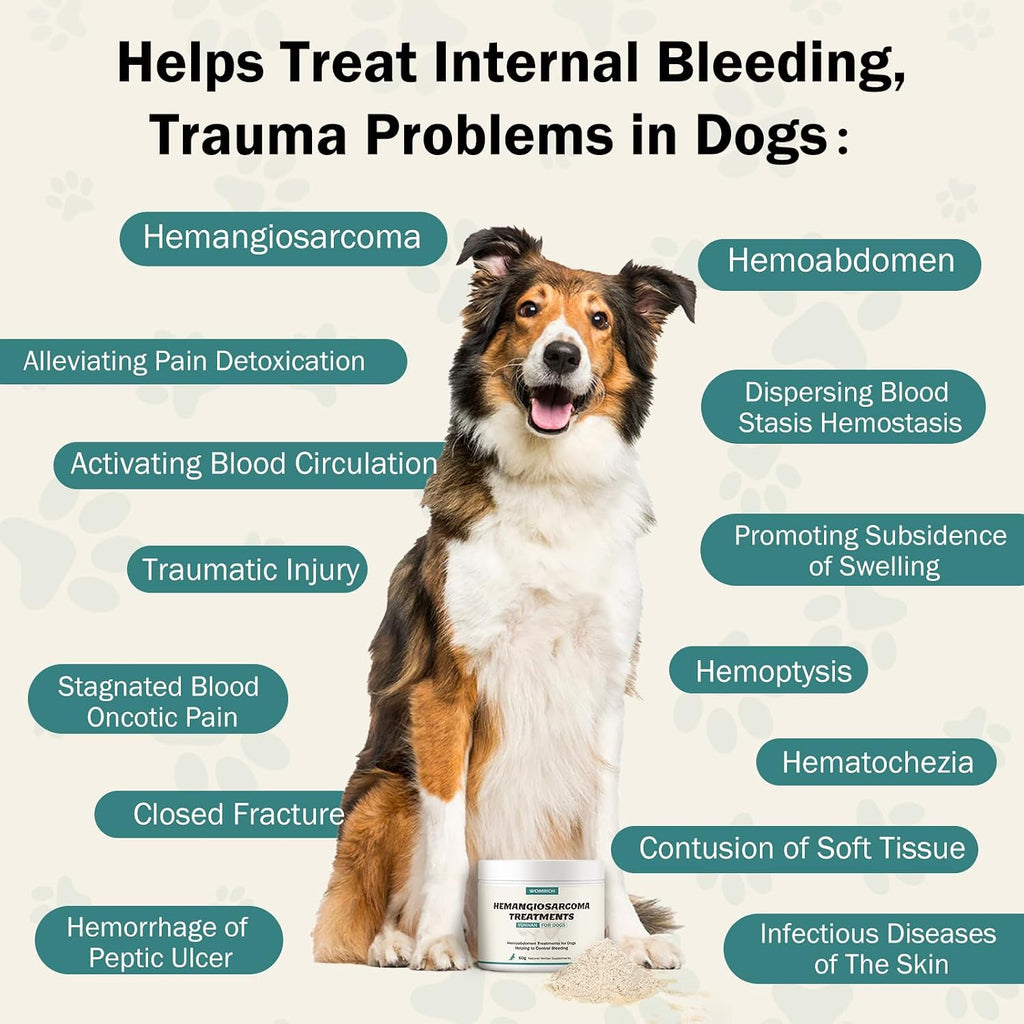 Quick Stop Bleeding para Perros, Polvo Natural de Yunnan Sanqi para Hemangiosarcoma, Sangrado Interno y Moretones - 60g