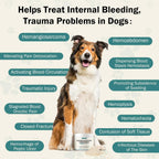Quick Stop Bleeding para Perros, Polvo Natural de Yunnan Sanqi para Hemangiosarcoma, Sangrado Interno y Moretones - 60g