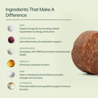 Longevity+ Suplemento para Perros Pequeños - Vitaminas y Suplementos para Articulaciones, Músculos, Inmunidad y Cognición - Formulado por Veterinarios - 30 Días