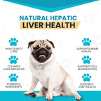 Pawsitive Same 100 - Apoyo Hepático para Perros con SAMe, 60 Comprimidos Masticables Sabor Bacon