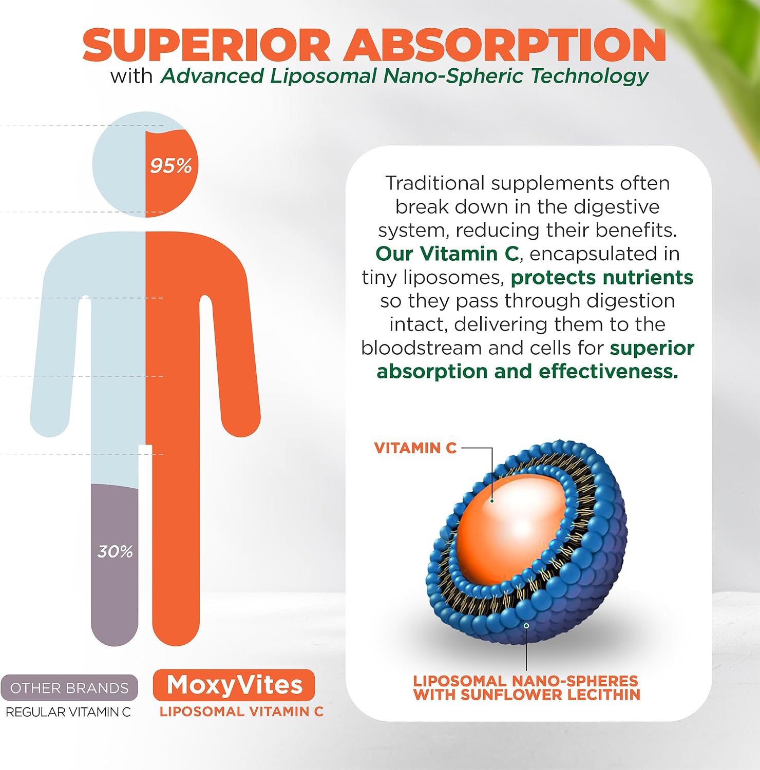 MoxyVites Vitamina C Liposomal con Zinc y Bayas Orgánicas (180 Cápsulas)
