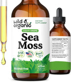 Wild & Organic Sea Moss Drops - Tintura multimineral de musgo irlandés y fucus - Vegano, sin alcohol ni azúcar - 118 ml