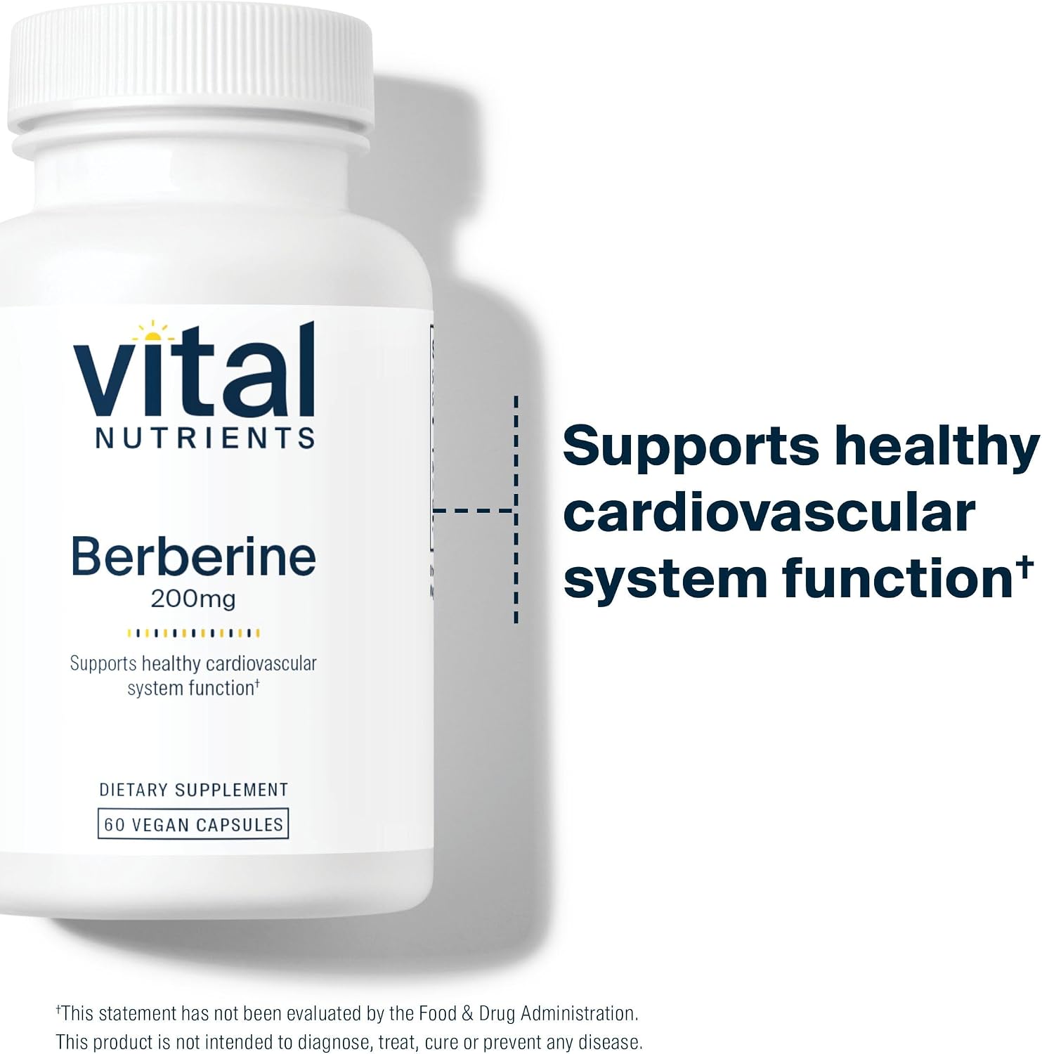 Berberina 200 mg - 60 Cápsulas Veganas - Vital Nutrients
