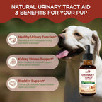 PetORiMMUNE Gotas Urinarias para Perros - Apoyo Salud Urinaria y Vesical - 118ml