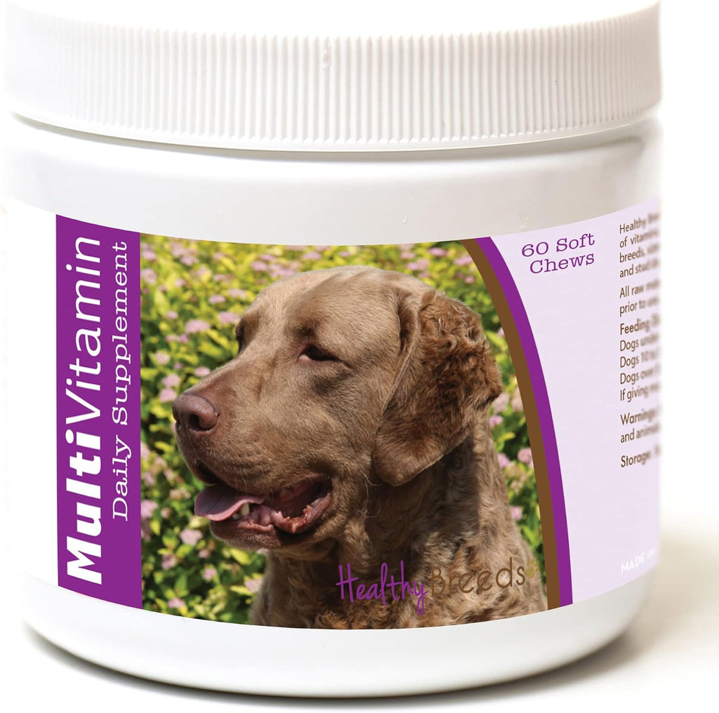 Healthy Breeds Chesapeake Bay Retriever Multivitamínico en masticables blandos 60 unidades
