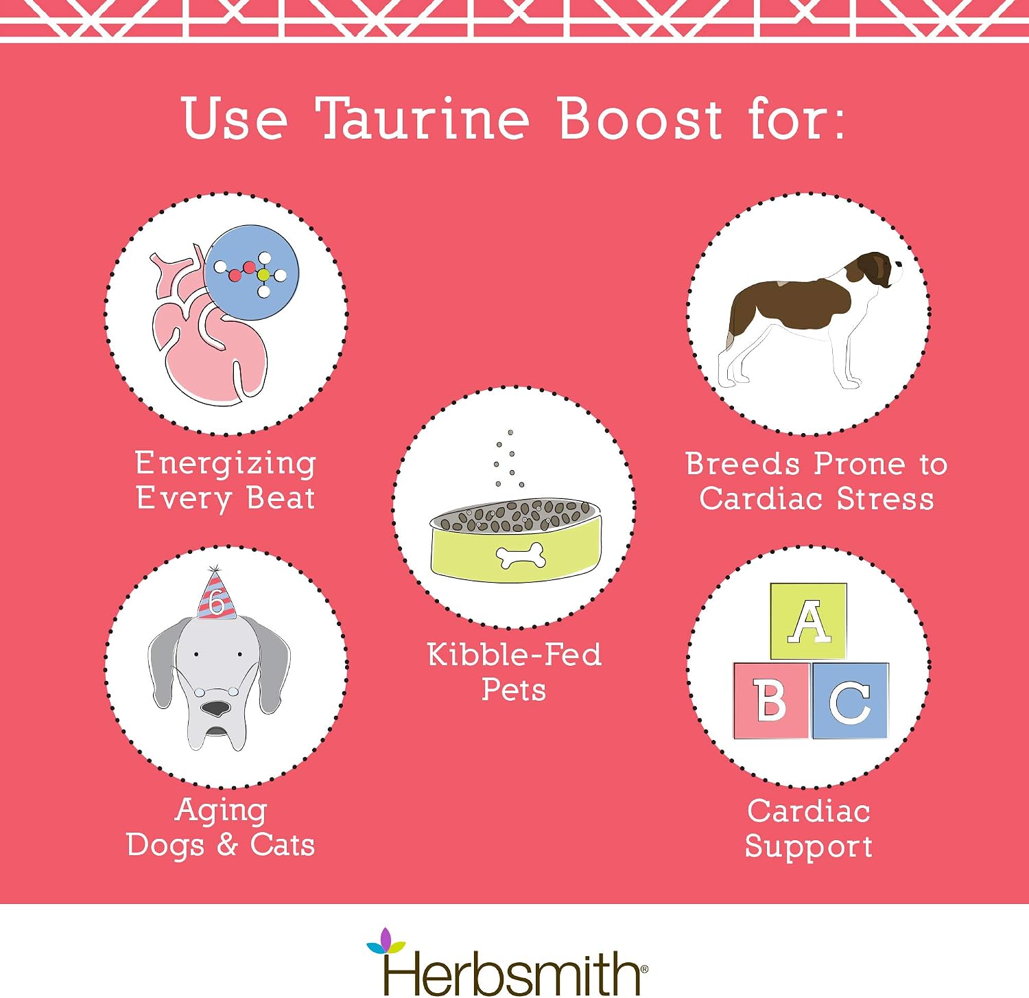 Herbsmith Taurine Boost – Suplemento cardíaco para perros y gatos (75g)