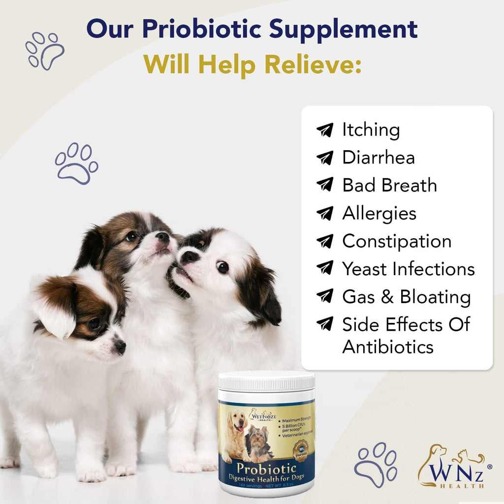 Probiotics for Dogs Digestive Health (Chicken & Bacon) - Probiotic Powder for Dogs - Digestive Aid & Immune Support - Calming Chews - Max Strength