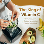 Camu Camu en Polvo: Fuente Natural de Vitamina C Orgánica - Zint (100 g)