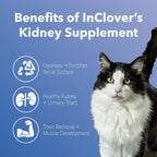 InClover Kidney – Complemento para la salud de la vejiga y riñones en perros y gatos