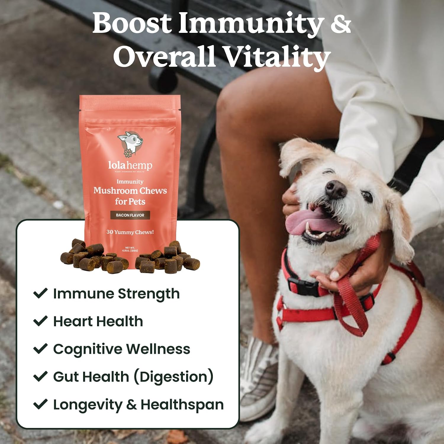 Suplemento de setas para perros - Masticables con setas orgánicas para inmunidad y cognición - Cola de pavo, Reishi, Shiitake, Maitake, Melena de león