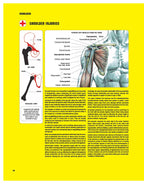 Anatomía del entrenamiento de fuerza, 3ª edición