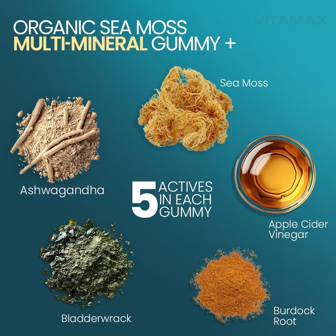Vitamax Gominolas de Irish Sea Moss - Suplemento Multimineral con Bladderwrack, Ashwagandha, Raíz de Bardana y Vinagre de Manzana - Vegano y No GMO - 60 Gominolas