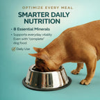 Vita-Tabs Suplemento Multivitamínico y Mineral para Perros - Recomendado por Veterinarios - 60 Comprimidos Masticables para Piel, Pelaje, Energía y Bienestar