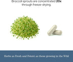 Cápsulas de Brotes de Brócoli Ecológicos - 270 mg (100 cápsulas)