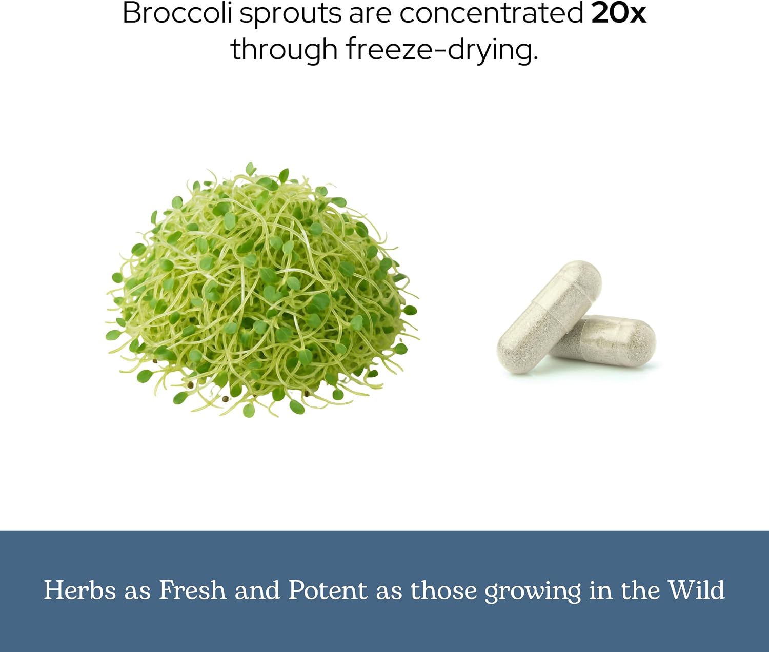 Cápsulas de Brotes de Brócoli Ecológicos - 270 mg (100 cápsulas)