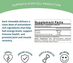 Bioxtron Natural Stem Cell Supplement Chewable Tablets - Spirulina, Chlorella, AFA - Supports Energy, Joint, Muscle, Immune Health - Stem Cell Regenerator - 60 Tablets (30 Servings)
