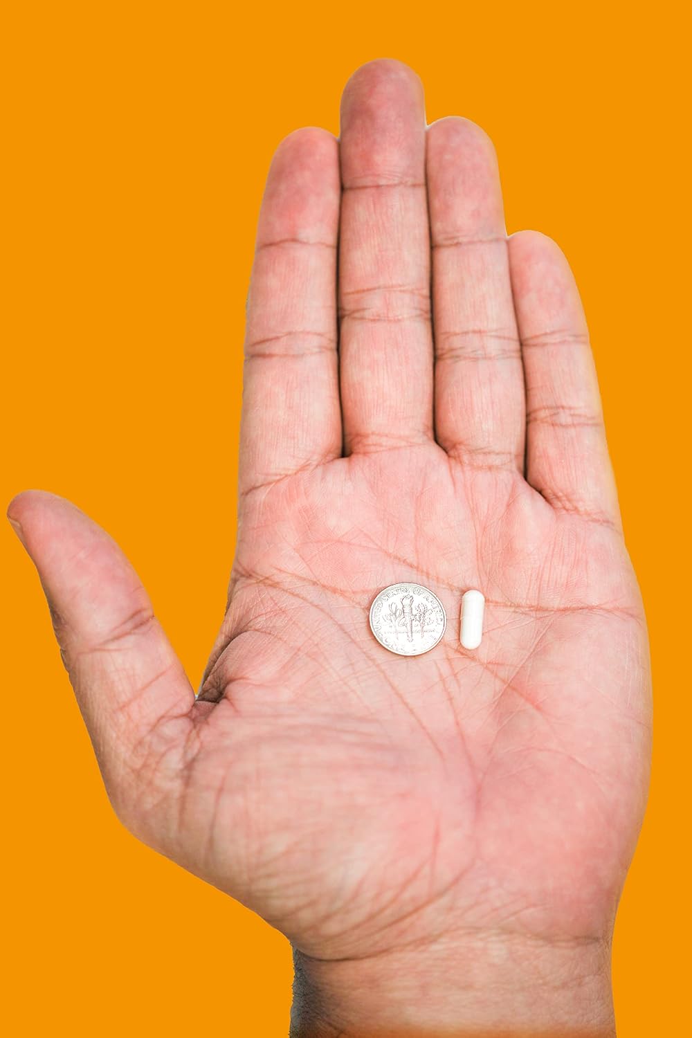 SOS L-Theanine, 100mg, 120 Cápsulas - Suplemento de L-Teanina
