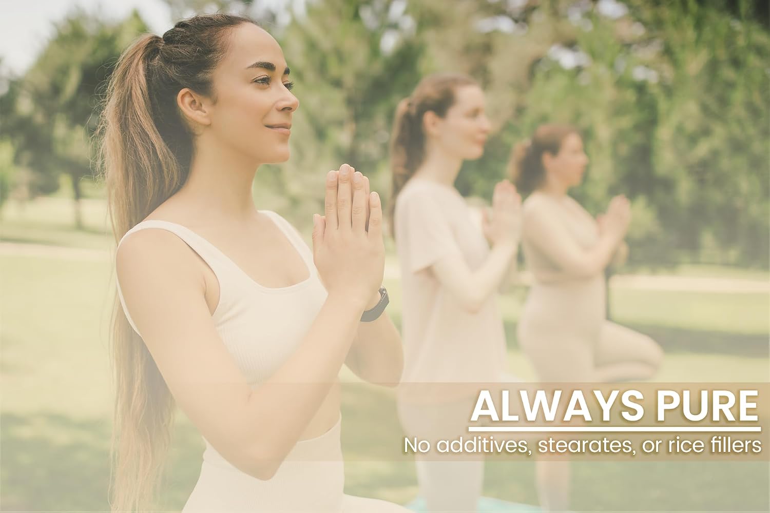 Pure Original Ingredients Isoflavonas de Soja (100 Cápsulas) – Puro, Sin Aditivos