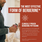 SoActive Berberine 550mg: 9.6X Mayor Absorción, Fitosoma Optimizado