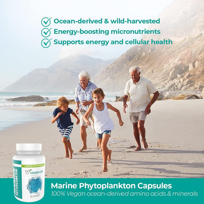 Cápsulas de Fitoplancton Marino - Suplemento – Vitalidad y energía: El perfil nutricional del fitoplancton puede – Image 2