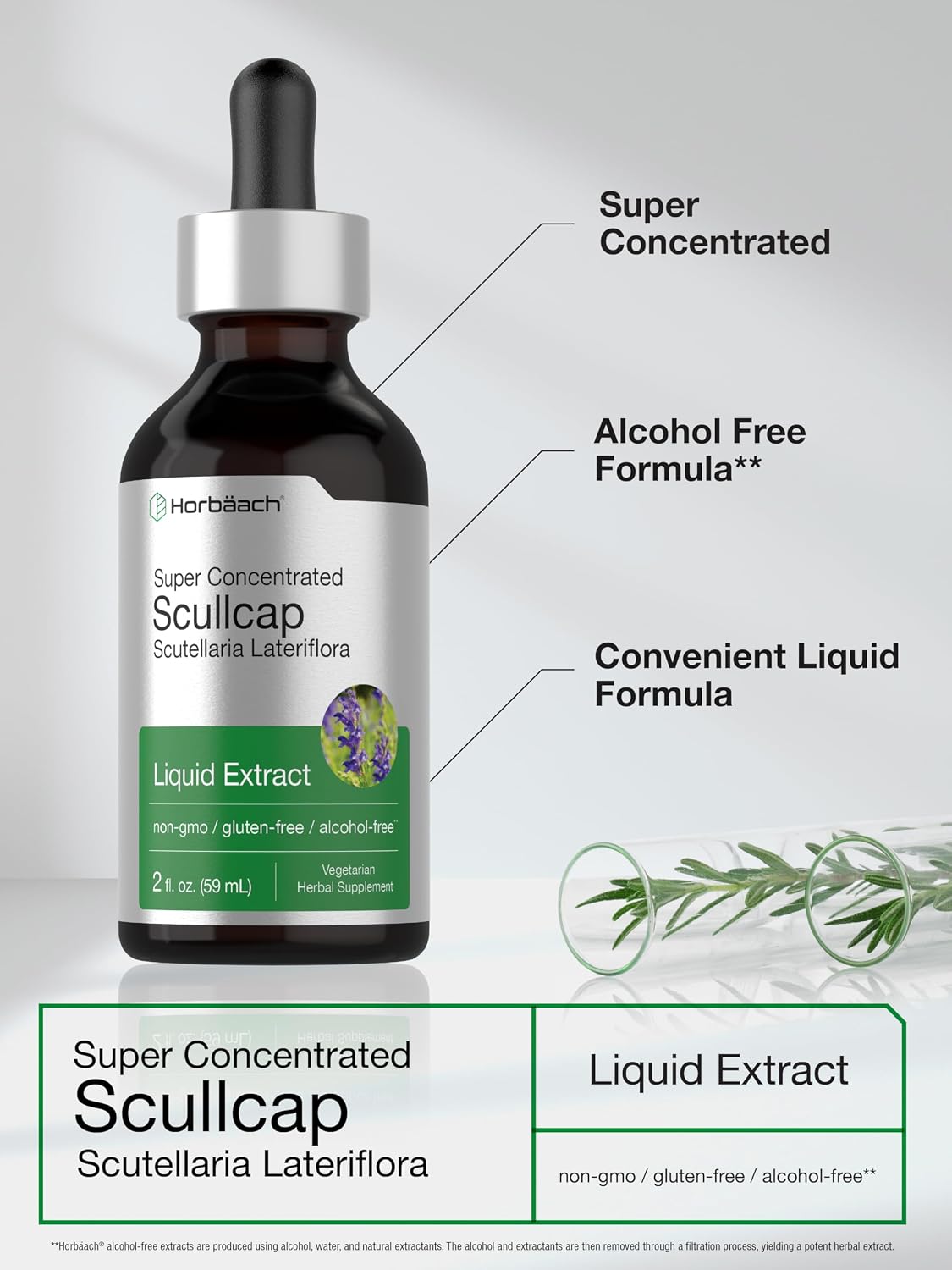 Horbaach Tintura de Escutelaria (Scutellaria lateriflora) – 60ml | Extracto Líquido sin Alcohol y Sin Gluten