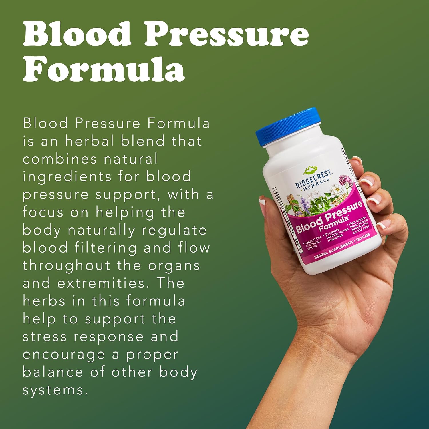 RidgeCrest Herbals Fórmula Herbal para la Presión Arterial, 12 Hierbas, 120 Cápsulas