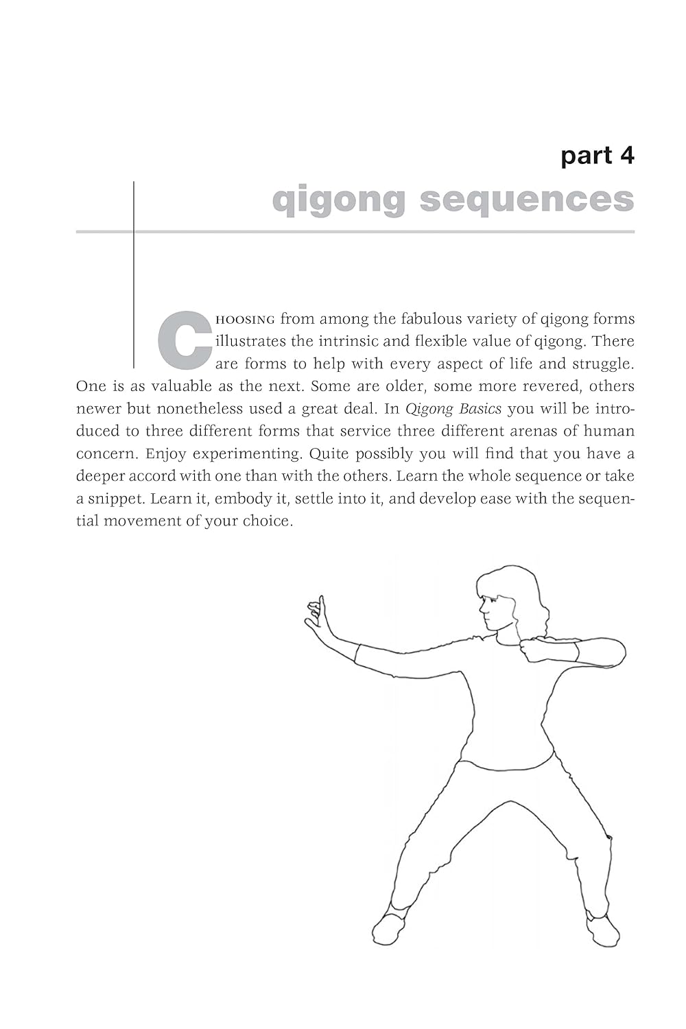 Qigong Basics: Posturas y Rutinas Básicas para la Salud y Relajación (Tuttle Specials)