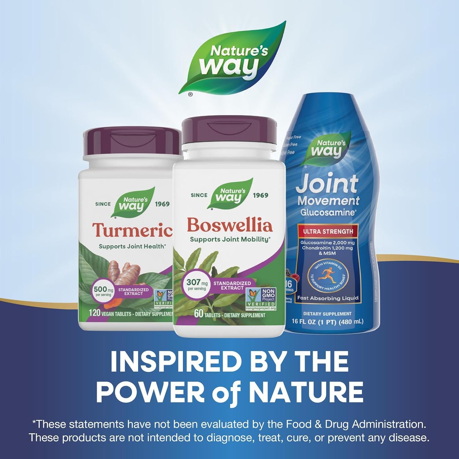 Nature's Way Boswellia Extracto Estandarizado, 60 Cápsulas
