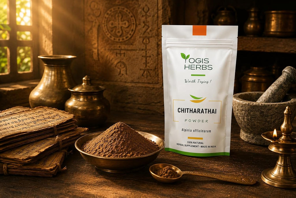 YOGIS HERBS Chitharathai en Polvo – Alpinia Officinarum (Kulanjan) – 100% Puro