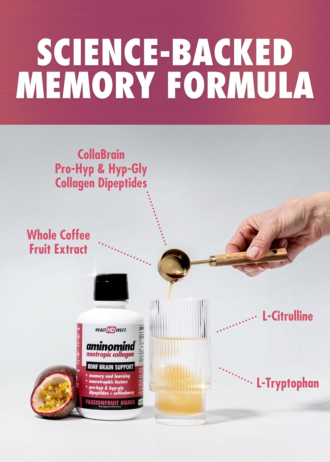 HEALTH DIRECT - AminoMind - Suplemento Nootrópico de Colágeno para la Salud Cerebral y BDNF - Dipéptidos Pro-Hyp e Hyp-Gly, Antioxidantes Coffeeberry - Maracuyá Guayaba - 414 ml (28 Dosis)