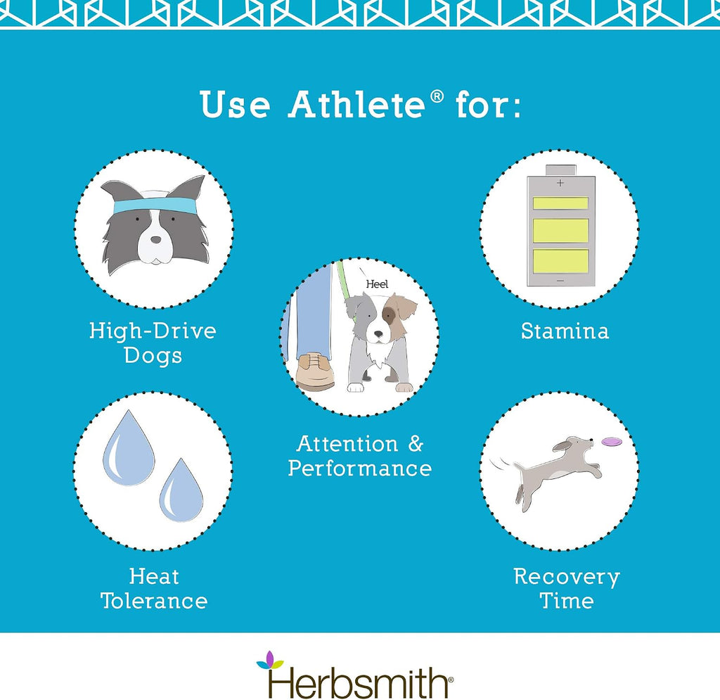 Herbsmith Athlete – Suplemento de resistencia para perros – 150g en polvo