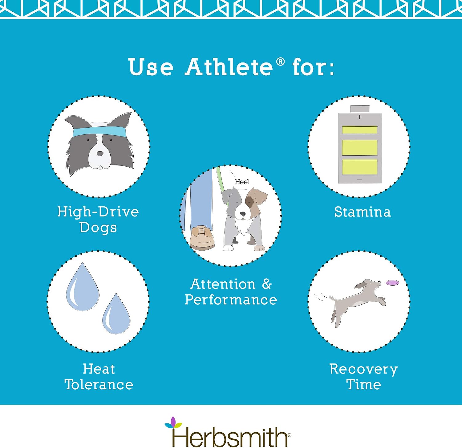 Herbsmith Athlete – Suplemento de Resistencia para Perros de Trabajo y Agilidad – 75g en Polvo