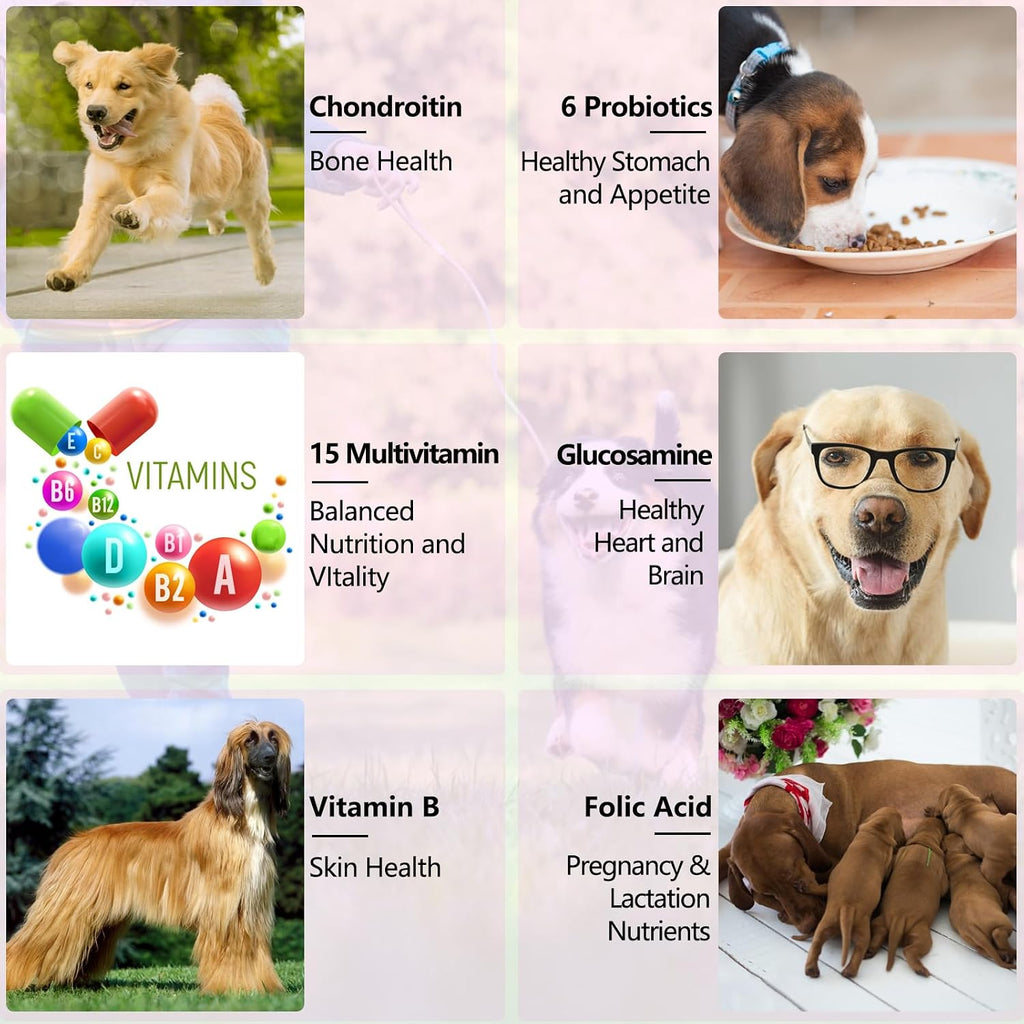 Multivitamínico Líquido 15 en 1 para Perros – Apoyo Articular, Piel y Digestión (60 ml)