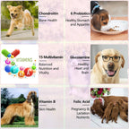 Multivitamínico Líquido 15 en 1 para Perros – Apoyo Articular, Piel y Digestión (60 ml)