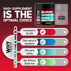 DEDICAD NAD Supplement con Nicotinamida Ribósido Liposomal 900mg, Resveratrol y Quercetina - 90 Cápsulas