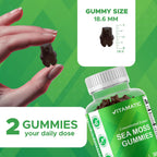 Gominolas de Irish Sea Moss con Fucus y Raíz de Bardana - Vitamatic - 180 Gominolas (3 Envases de 60)