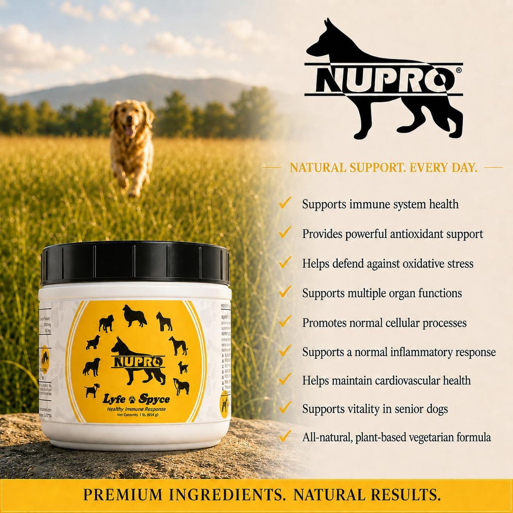 Nupro Lyfe Spyce Healthy Immune Response - Suplemento antioxidante para perros - 454 g