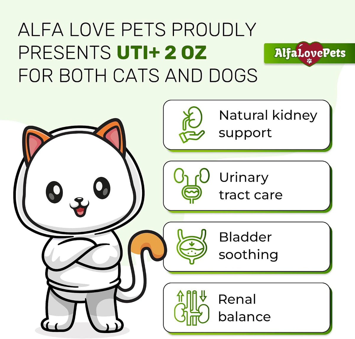 Suplemento Urinario para Perros y Gatos – Cuidado de Riñones y Vejiga con Arándano – 60 ml – Image 2
