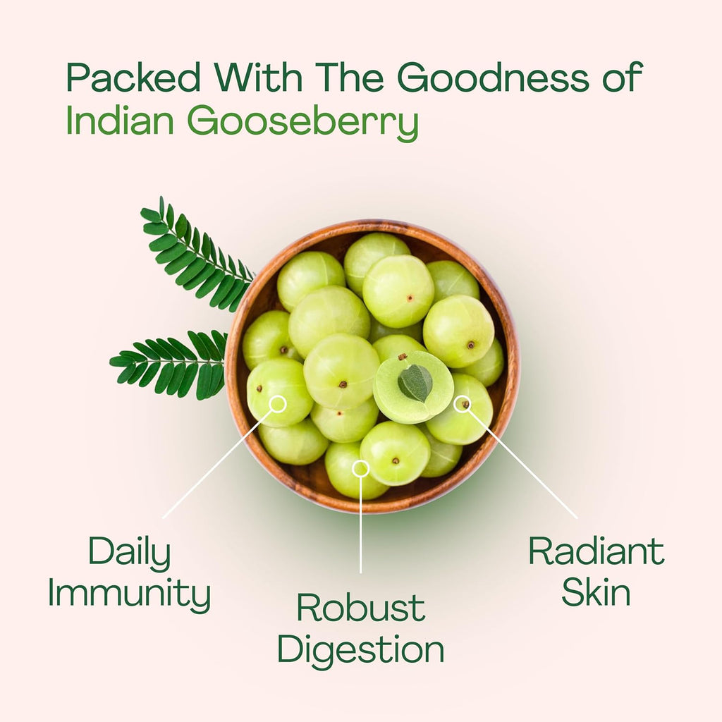 Just Jaivik Organic Amla Tablets - 750 mg (90 Comprimidos)