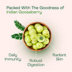 Just Jaivik Organic Amla Tablets - 750 mg (90 Comprimidos)