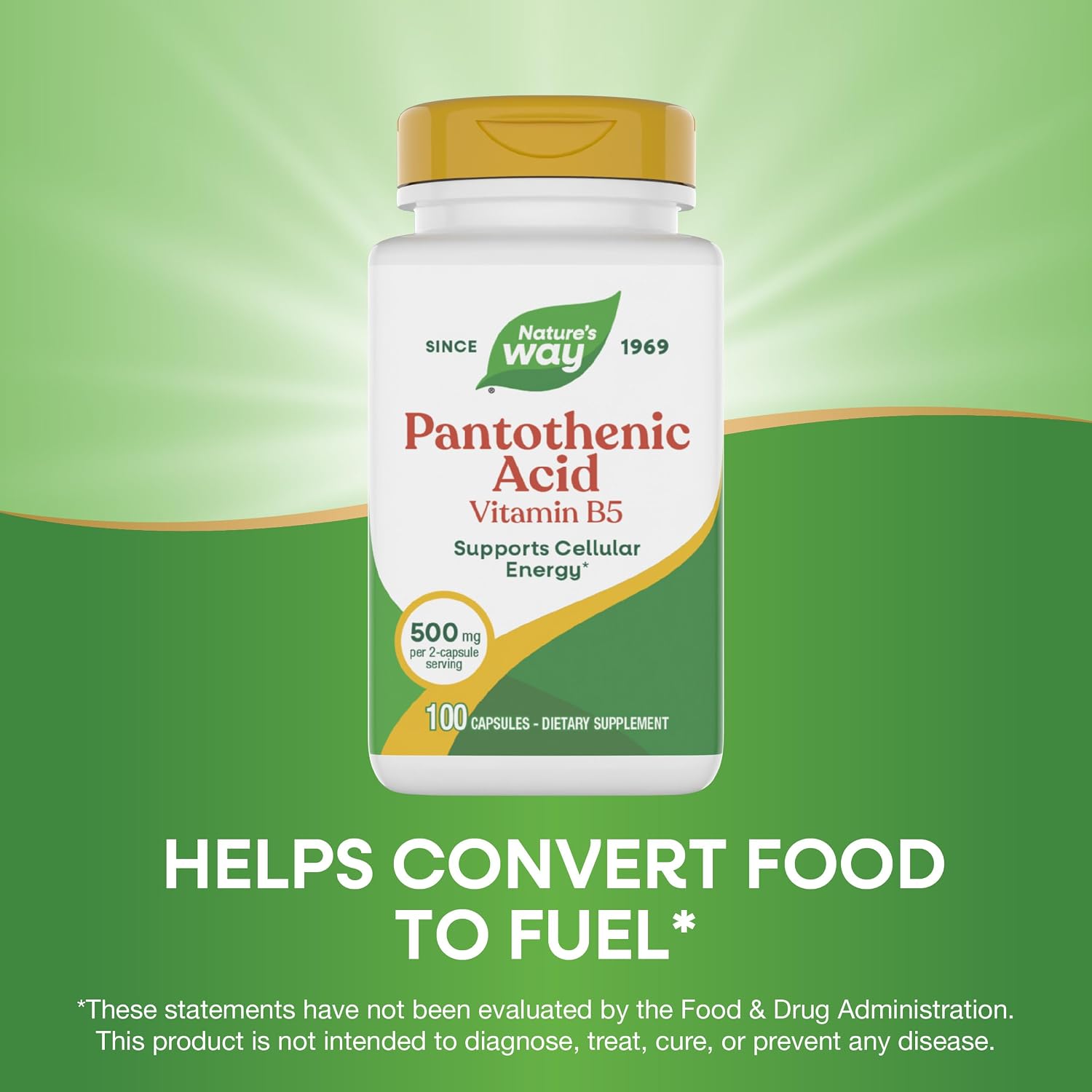 Nature's Way Ácido Pantoténico (Vitamina B5) 500mg, 100 Cápsulas