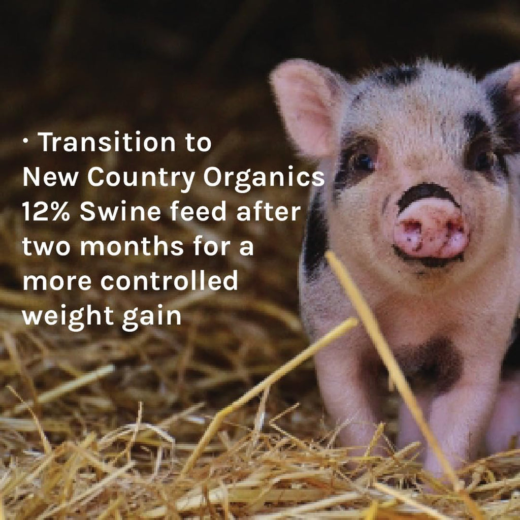 New Country Organics | Pienso con 16% de Proteína para Cerdos en Crecimiento | Sin Soja | Ecológico y No Transgénico | 18 kg