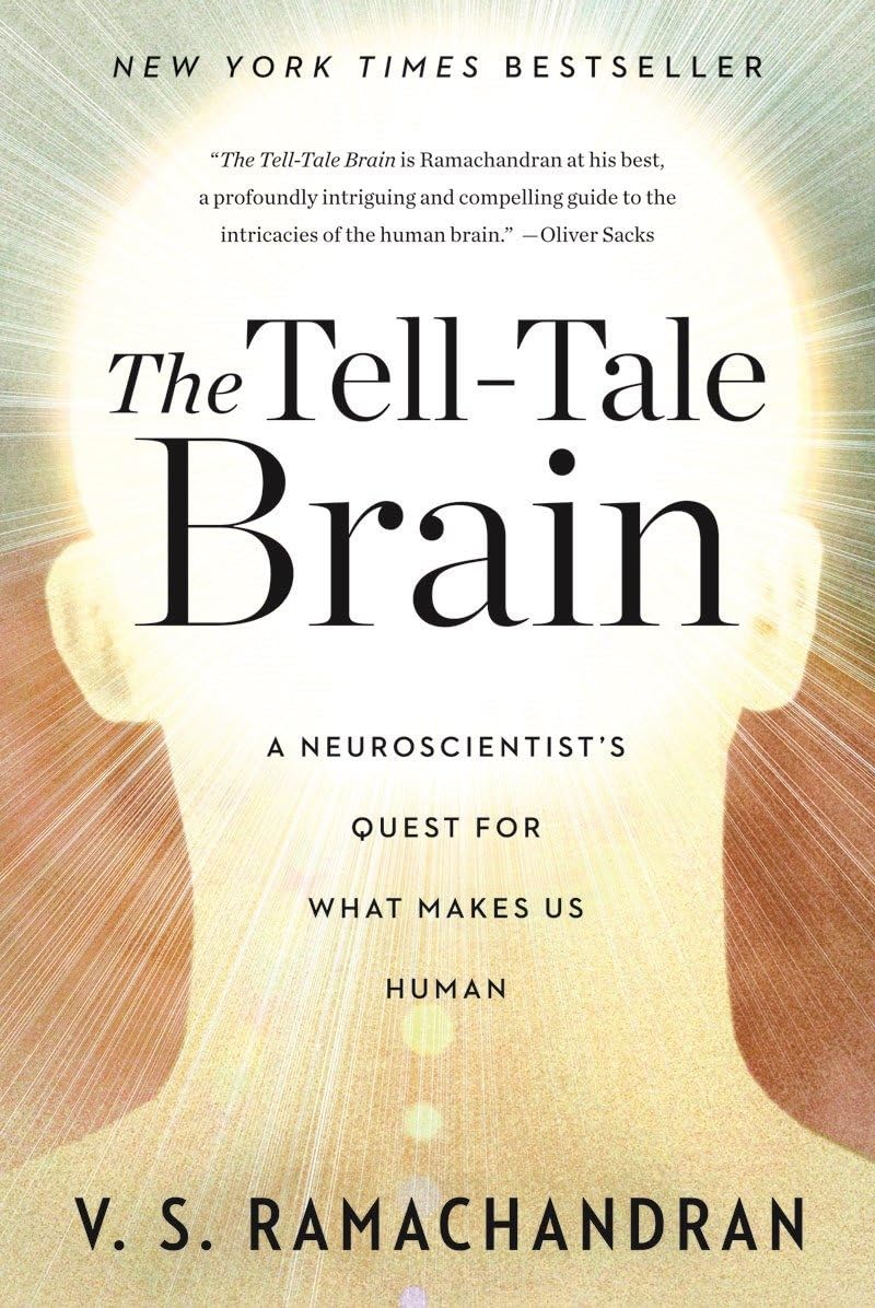 El cerebro delator: La búsqueda de un neurocientífico de lo que nos hace humanos