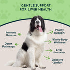 Liver Defense for Dogs and Cats - Liquid Liver Supplement with Milk Thistle and Dandelion - 60 ml