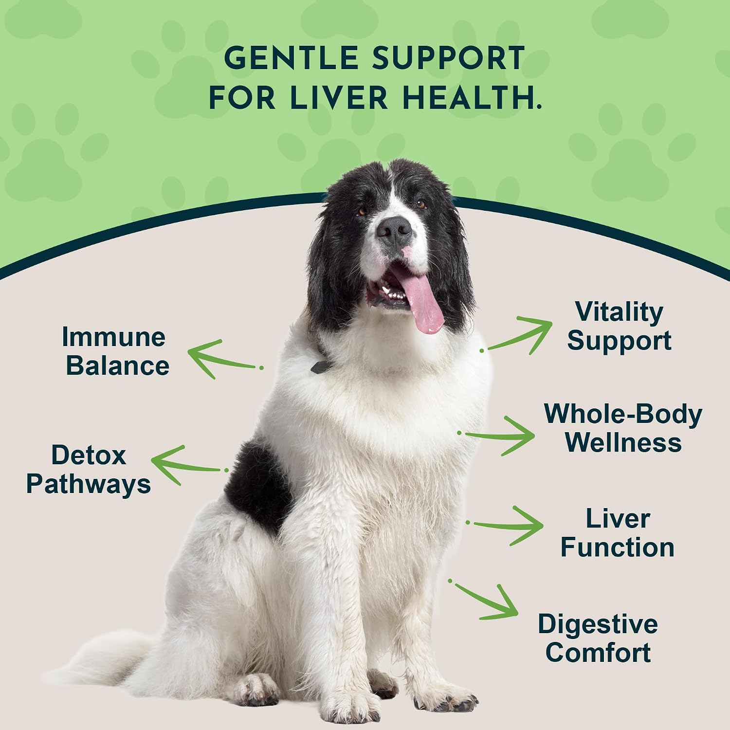 Liver Defense for Dogs and Cats - Liquid Liver Supplement with Milk Thistle and Dandelion - 60 ml